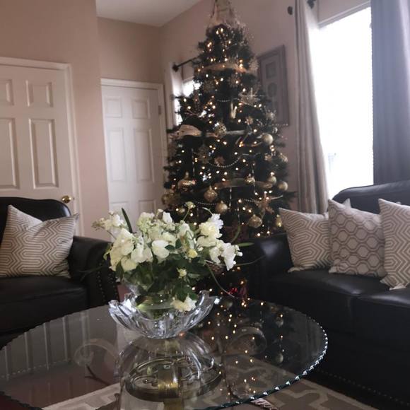 Meet your Posher, Rosalynn - Picture 1 of 1